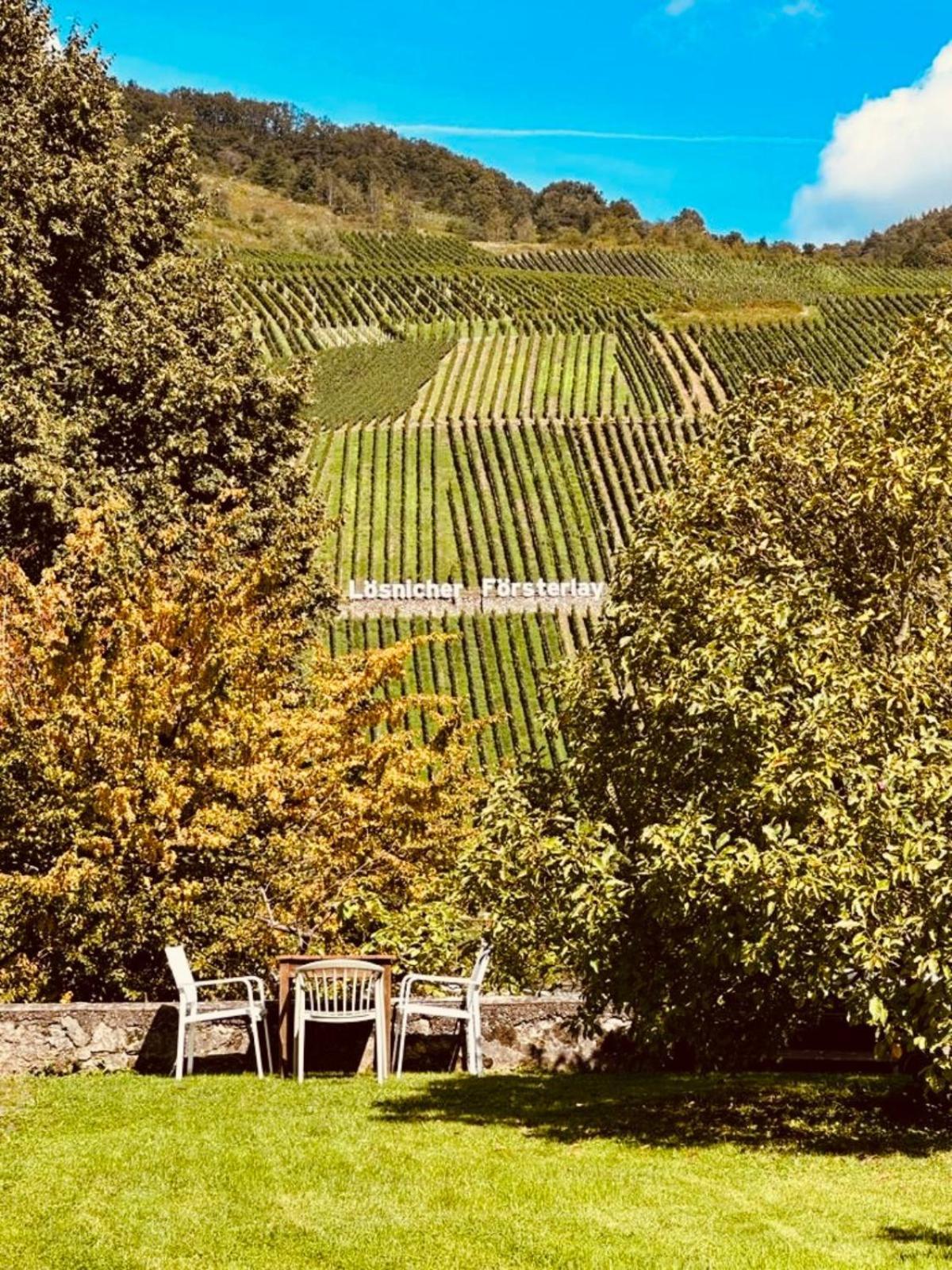 Gut Foersterlay - Exklusive Boutique Apartments Im Historischen Winzerhaus Direkt An Der Mosel Lösnich Eksteriør billede